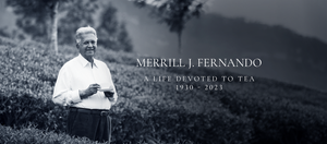 ディルマ創業者メリル・J・フェルナンド逝去に関するお知らせ（訃報）