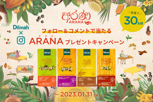 【ディルマ「ARANAシリーズ」新発売記念！<br class=