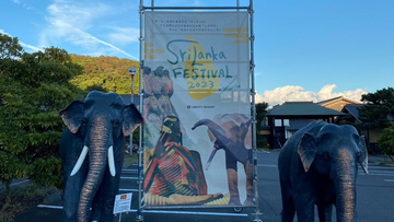 【イベント開催レポート】「スリランカフェスティバル2023 in しずおか」(＠静岡県・静岡市)