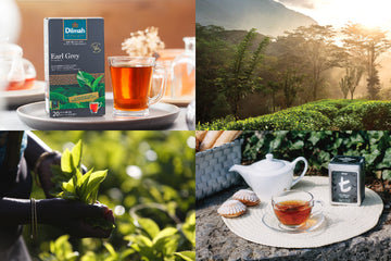【イベント募集】2024.11.17（日）オンラインレッスン スリランカ紅茶Dilmahで楽しむアールグレイのティータイム<br>（一般社団法人日英アフタヌーンティー協会主催）