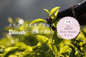 【イベント募集】2025.11.06（木） Rose Roomスペシャルレッスン「スリランカ紅茶ブランドDilmah☆Special一日集中講座」