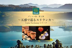 【キャンセル待ち受付中】2026.07.12（日）tea.and.barコラボ祭 第3弾　新たなディルマの世界