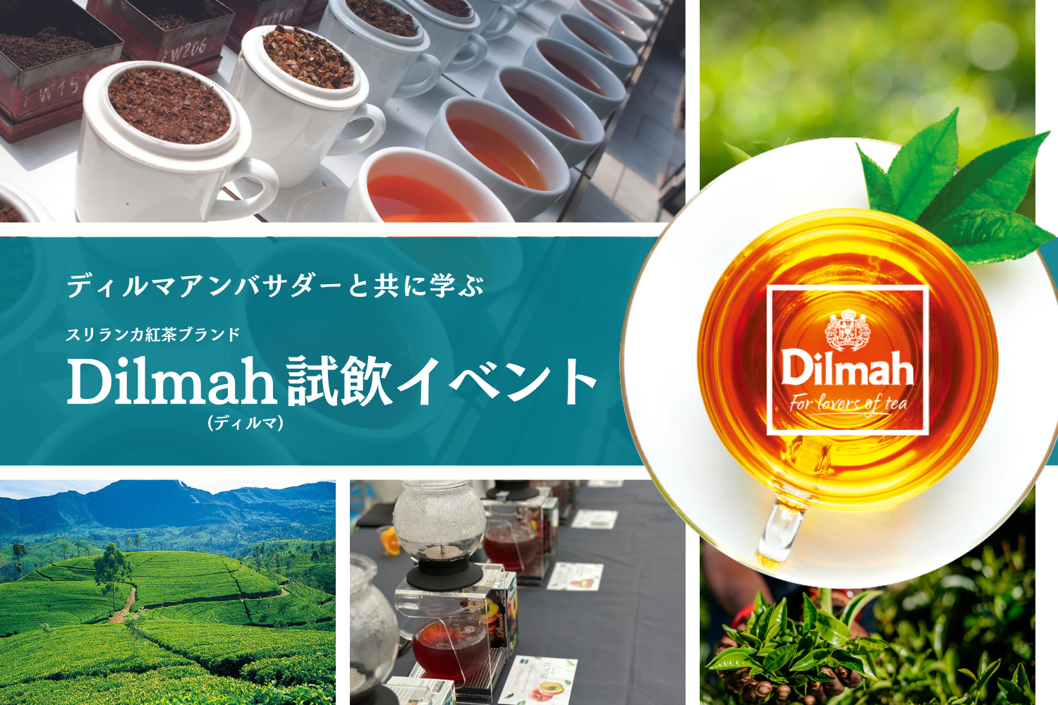 イベント募集】ディルマアンバサダーと共に学ぶスリランカ紅茶ブランド 