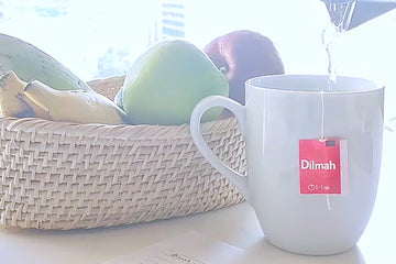 ディルマ本社へ