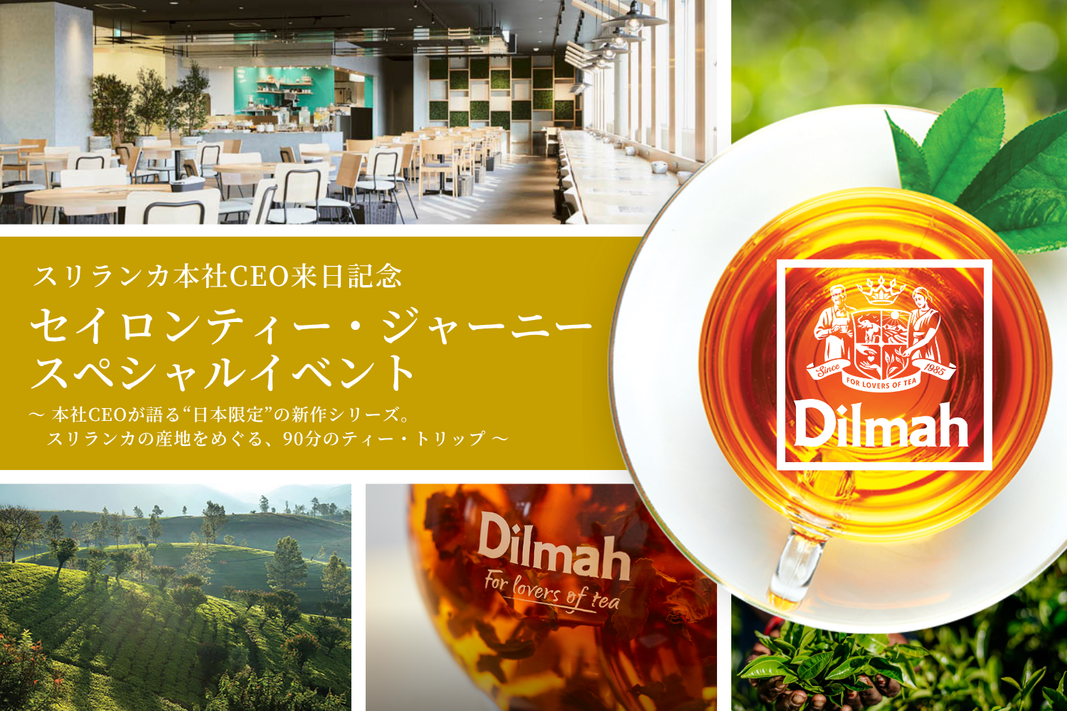 スリランカ本社CEO来日記念｜セイロンティー・ジャーニー スペシャル
