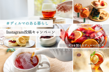 フォロー＆投稿で当たる！ディルマ ホテルアフタヌーンティーを愉しむプレゼントキャンペーン