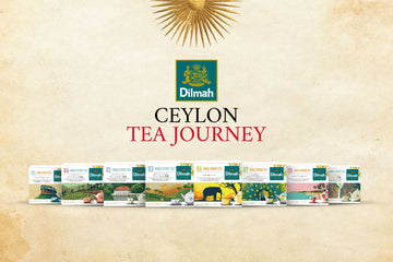 【イベント募集】2025.11.23（日）11月は紅茶月♪セイロンティージャーニー物語<br>オンラインレッスン（一般社団法人日英アフタヌーンティー協会主催）