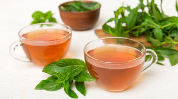 紅茶と緑茶の違いは何？成分や健康効果に違いはある？