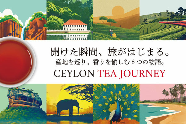 開けた瞬間、旅が始まる。Ceylon Tea Journey