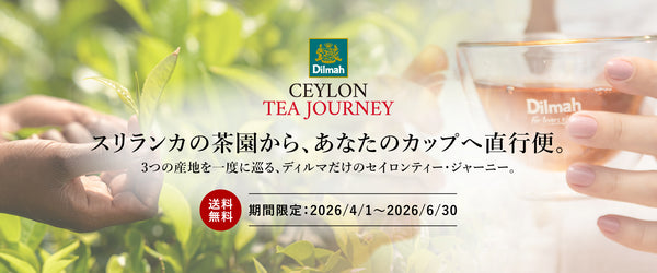 開けた瞬間、旅が始まる。Ceylon Tea Journey