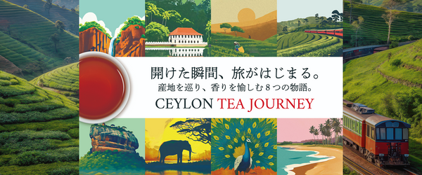 開けた瞬間、旅が始まる。Ceylon Tea Journey